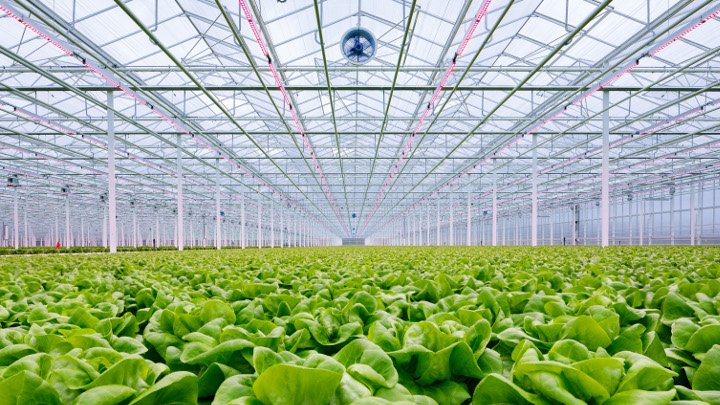 philips greenpower ipm