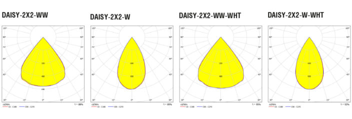 DAISY 2X2 all ies 704x238